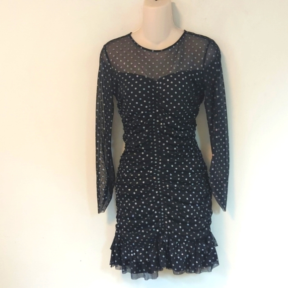 Zara Tulle Silver Dot Swiss Dress - Picture 5 of 16